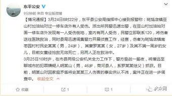 爆料灭门惨案视频播放全集,惊心动魄的真相还原